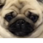 i just wanna upload stuff