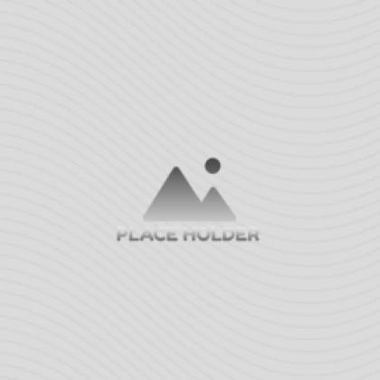 No Theme Studios Roblox group icon