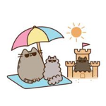 Sunshine sunnys group