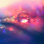 Pretty_Dev