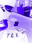 TOP_BRONX_KILLAS(TBK)