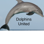 Dolphins. United