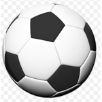Coolcutebabygir1 soccer fan group