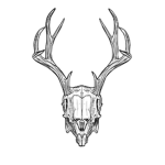 Guardians of The Wendigo Skull