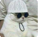 Musal Ketap