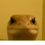 ok time to