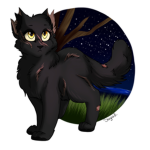 Warrior cats united 126
