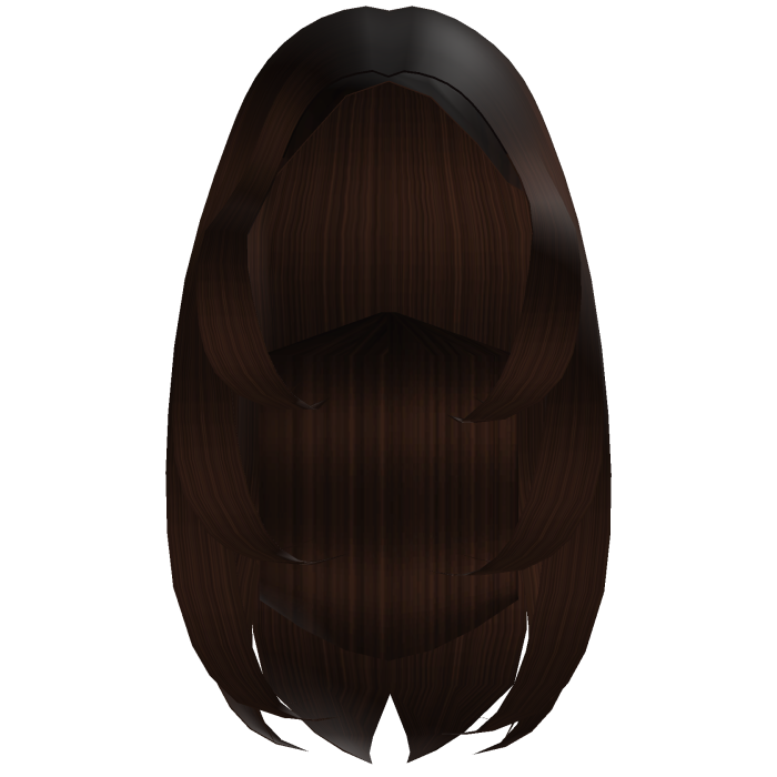 Dark Brown Feathered Long Layers