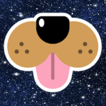 Da Dogs Corporation