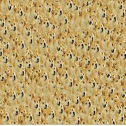 Find The Doges Hangout
