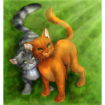 Warrior cats fan's (WCF)