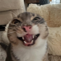 <3