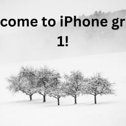 apple store (recreated)