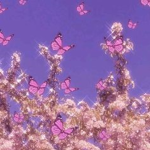 xlavendersquadxx