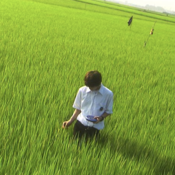 ˖ ˙クローバー . ˙˖ 