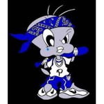 SOUTH SIDE CRYPS scc