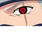 kakaskins