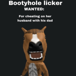 Sammyxflies