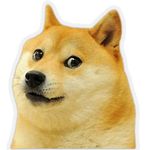 The dog is amazing!!