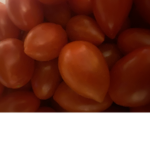 Team tomatoooooooo