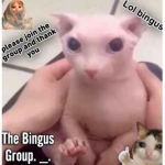 The bingus group. _.