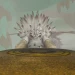 Valka's Sanctuary icon