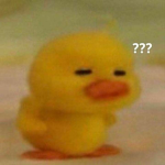 dnducks