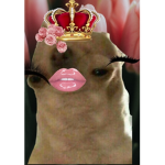 Olive the other reindeer group
