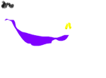 lizard