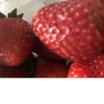 Strawberry lichtfeldtt