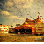 Circus of freaks