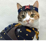 Tayekeke