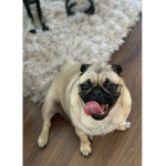 GAMES BLOX