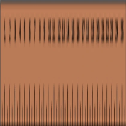 RULER