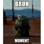 THE NORTH MEME TRIBE