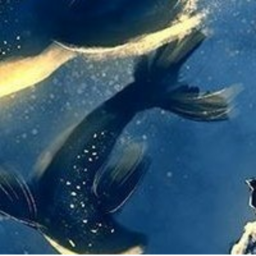 ༄🌊 ｡˚✧ ｡˚