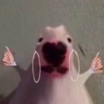 Chicken Little is a nice nugget