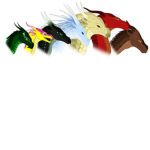Wings of Fire Fan Club!!!