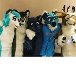 we are furries