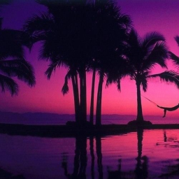 sunsets