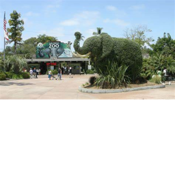 Zoo with Lemur, Crocodiles, capybara and giraffes.
