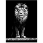 Roaring Lion