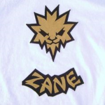 zane group