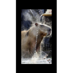 Capybara589