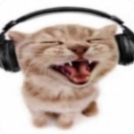 テーブル Animes