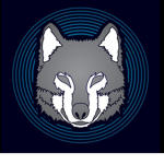 _BLACK WOLF_ (KOREAN조직)