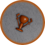 Bronze Medal