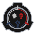 Foundation Combative Operations