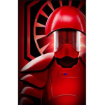 【 New Republic Senate Guard 】
