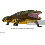 Cult Of Mastodonsaurus